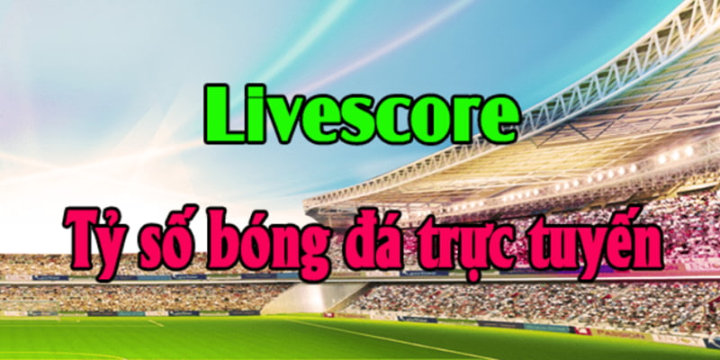 Tìm hiểu thuật ngữ livescore